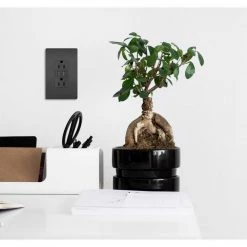 Radiant 15 Amp 125 Volt Duplex Outlet with 3.1 Amp USB, Black by Legrand -Legrand Sales black legrand electrical outlets receptacles tm826usbbkccv4 66 1000