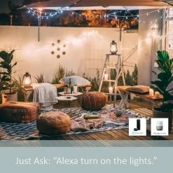 Radiant Smart WiFi Weather Resistant Outdoor Tri-Tap Plug-In Switch with GFCI, Black by Legrand -Legrand Sales black legrand electrical plugs connectors wwp30ccv2 44 1000