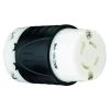 Pass & Seymour Turnlok 20 Amp 125/250-Volt NEMA L14-20R Locking Connector by Legrand -Legrand Sales black white legrand electrical plugs connectors l1420cccv3 64 1000