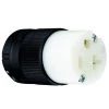 Pass & Seymour Armored 15 Amp 125-Volt NEMA 5-15R Straight Blade Connector by Legrand -Legrand Sales black white legrand electrical plugs connectors ps520cclbccv4 64 1000