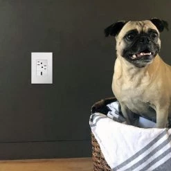 Adorne 1 Gang Plus Decorator/Rocker Wall Plate, Gloss White (1-Pack) by Legrand -Legrand Sales gloss white legrand rocker light switch plates awp1g3wh4 4f 1000