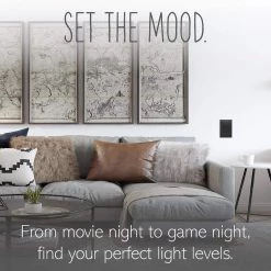 Adorne Paddle 450-Watt Single-Pole/3-Way LED/CFL/Incandescent Dimmer, Graphite by Legrand -Legrand Sales graphite legrand dimmers adpd453lg2 1f 1000