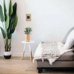 Adorne Paddle 450-Watt Single-Pole/3-Way LED/CFL/Incandescent Dimmer, Graphite by Legrand -Legrand Sales graphite legrand dimmers adpd453lg2 c3 1000