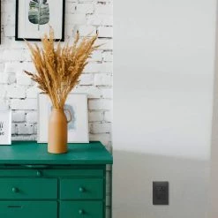 Adorne 15 Amp 125-Volt Tamper-Resistant Self-Test Plus-Size Duplex GFCI Outlet, Graphite by Legrand -Legrand Sales graphite legrand electrical outlets receptacles agftr2153g4 4f 1000