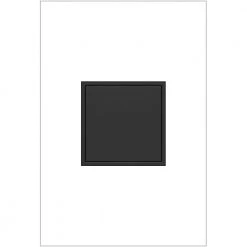 Adorne 20 Amp 125-Volt Tamper Resistant 1-Gang Pop-Out Outlet, Graphite by Legrand