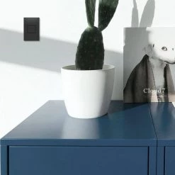 Adorne 20 Amp 125-Volt Tamper Resistant 1-Gang Pop-Out Outlet, Graphite by Legrand 12 Adorne 20 Amp 125-Volt Tamper Resistant 1-Gang Pop-Out Outlet, Graphite by Legrand -Legrand Sales graphite legrand electrical outlets receptacles arptr201gg2 c3 1000