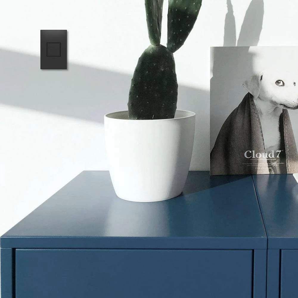 Adorne 20 Amp 125-Volt Tamper Resistant 1-Gang Pop-Out Outlet, Graphite by Legrand 5 Adorne 20 Amp 125-Volt Tamper Resistant 1-Gang Pop-Out Outlet, Graphite by Legrand - Image 3