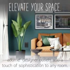 Adorne 15 Amp 125-Volt Tamper Resistant Duplex Outlet, Graphite by Legrand -Legrand Sales graphite legrand electrical outlets receptacles artr152g4 1f 1000