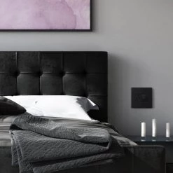 Adorne 15 Amp 125-Volt Tamper Resistant Duplex Outlet, Graphite by Legrand -Legrand Sales graphite legrand electrical outlets receptacles artr152g4 c3 1000