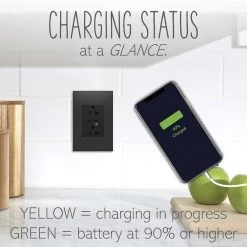 Adorne 20 Amp Tamper-Resistant Duplex Outlet with Ultra-Fast 6A PLUS 30W Power Delivery USB Type-C/C, Graphite by Legrand -Legrand Sales graphite legrand electrical outlets receptacles artrusb20pd30g4 c3 1000