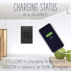 Adorne 6.0 Amp 30 Watt Ultra-Fast Plus Power Delivery USB Type-C/C, Graphite by Legrand -Legrand Sales graphite legrand electrical outlets receptacles arusb30pdg4 4f 1000