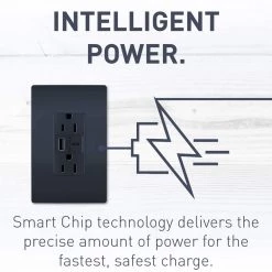 Radiant 15 Amp 125-Volt Decorator Duplex Outlet with 6.0 Amp Type A/C USB, Graphite by Legrand -Legrand Sales graphite legrand electrical outlets receptacles r26usbac6g 44 1000