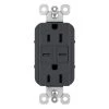 Radiant 15 Amp 125-Volt Decorator Duplex Outlet with 6.0 Amp Type C/C USB, Graphite by Legrand 2 Radiant 15 Amp 125-Volt Decorator Duplex Outlet with 6.0 Amp Type C/C USB, Graphite by Legrand -Legrand Sales graphite legrand electrical outlets receptacles r26usbcc6g 64 1000