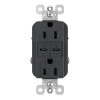 Radiant 15 Amp 125-Volt Tamper-Resistant Duplex Outlet with Ultra-Fast 6A PLUS 30W Power Delivery USB C/C, Graphite by Legrand 1 Radiant 15 Amp 125-Volt Tamper-Resistant Duplex Outlet with Ultra-Fast 6A PLUS 30W Power Delivery USB C/C, Graphite by Legrand -Legrand Sales graphite legrand electrical outlets receptacles r26usbpdgcc6 64 1000