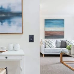 Radiant 15 Amp 120-Volt Single-Pole Decorator/Rocker Light Switch, Graphite by Legrand 18 Radiant 15 Amp 120-Volt Single-Pole Decorator/Rocker Light Switch, Graphite by Legrand -Legrand Sales graphite legrand light switches tm870gcc10 1d 1000