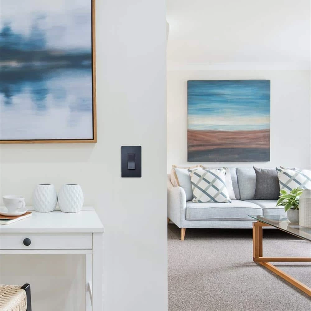 Radiant 15 Amp 120-Volt Single-Pole Decorator/Rocker Light Switch, Graphite by Legrand 7 Radiant 15 Amp 120-Volt Single-Pole Decorator/Rocker Light Switch, Graphite by Legrand - Image 5