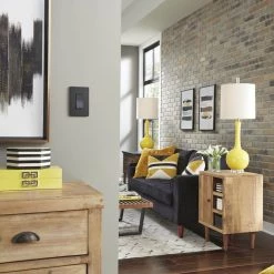 Radiant 15 Amp 120-Volt Single-Pole Decorator/Rocker Light Switch, Graphite by Legrand 20 Radiant 15 Amp 120-Volt Single-Pole Decorator/Rocker Light Switch, Graphite by Legrand -Legrand Sales graphite legrand light switches tm870gcc10 c3 1000