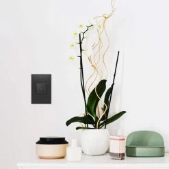 Adorne 1 Gang Decorator/Rocker Wall Plate, Grahite (1-Pack) by Legrand 14 Adorne 1 Gang Decorator/Rocker Wall Plate, Grahite (1-Pack) by Legrand -Legrand Sales graphite legrand rocker light switch plates awp1g2gr6 40 1000