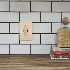 Radiant 15 Amp 125-Volt Tamper Resistant GFCI Residential/Commercial Decorator Duplex Outlet with A/A USB, Ivory by Legrand -Legrand Sales ivory legrand electrical outlets receptacles 1597trusbaai e1 1000