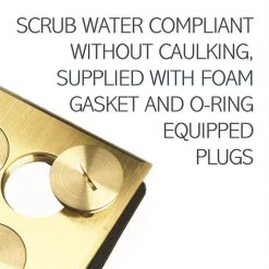 Pass & Seymour Slater Brass 2-Gang Floor Box with Tamper-Resistant Outlet and Cat5e Connectors for Wood Sub-Floor by Legrand -Legrand Sales legrand boxes brackets fb2trdrks4b 1f 1000