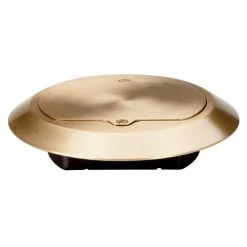 Pass & Seymour Slater 1 Gang Round High Profile Floor Box Cover for All Floors, Brass by Legrand