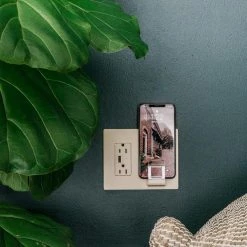 Radiant 15 Amp 125-Volt Decorator Duplex Outlet Tamper Resistant USB Wireless Charger with Wall Plate USB, Light Almond by Legrand -Legrand Sales light almond legrand electrical outlets receptacles rwc826usblaccv2 66 1000