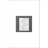 Adorne 1-Gang Brush Plate Wall Plate, Magnesium (1-Pack) by Legrand