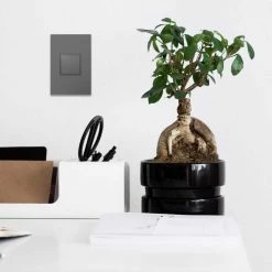 Adorne 15 Amp 125-Volt Tamper Resistant 1-Gang Pop-Out Outlet with Wall Plate, Magnesium by Legrand -Legrand Sales magnesium legrand electrical outlets receptacles arptr151gm2wp e1 1000