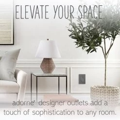 Adorne 15 Amp 125-Volt Safety Zone Tamper Resistant Plus-Size Duplex Outlet, Magnesium by Legrand 14 Adorne 15 Amp 125-Volt Safety Zone Tamper Resistant Plus-Size Duplex Outlet, Magnesium by Legrand -Legrand Sales magnesium legrand electrical outlets receptacles artr153m4 1f 1000