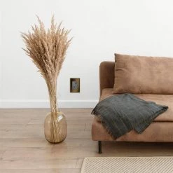 Adorne 15 Amp 125-Volt Safety Zone Tamper Resistant Plus-Size Duplex Outlet, Magnesium by Legrand 12 Adorne 15 Amp 125-Volt Safety Zone Tamper Resistant Plus-Size Duplex Outlet, Magnesium by Legrand -Legrand Sales magnesium legrand electrical outlets receptacles artr153m4 c3 1000