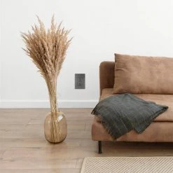 Adorne 15 Amp 125-Volt Dual USB Plus-Size Duplex Outlet with Wall Plate, Magnesium by Legrand 13 Adorne 15 Amp 125-Volt Dual USB Plus-Size Duplex Outlet with Wall Plate, Magnesium by Legrand -Legrand Sales magnesium legrand electrical outlets receptacles artrusb153m4wp 66 1000