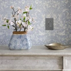 Adorne 15 Amp 120-Volt Duplex Outlet with 6.0 Amp Type A/C USB, Magnesium by Legrand -Legrand Sales magnesium legrand electrical outlets receptacles artrusb156acm4 66 1000