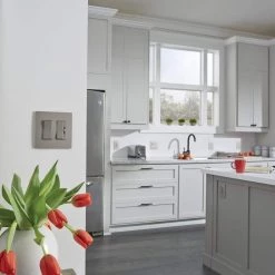 Radiant 1.6 Amp Single Pole/3-Way De-Hummer Fan Control, Nickel/Dark Bronze by Legrand -Legrand Sales nickel dark bronze legrand ceiling fan switches rhdh163pbcccv4 c3 1000