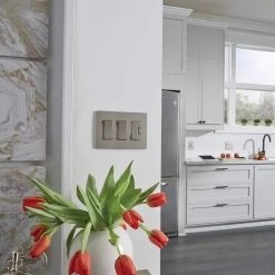 Radiant 450 Watt Single Pole/3-Way LED/CFL/Incandescent Dimmer, Nickel by Legrand 18 Radiant 450 Watt Single Pole/3-Way LED/CFL/Incandescent Dimmer, Nickel by Legrand -Legrand Sales nickel legrand dimmers rhcl453pniccv4 a0 1000