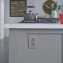 Radiant 20 Amp 125-Volt Spec Grade Tamper Heavy Duty Decorator Duplex Outlet, Nickel by Legrand -Legrand Sales nickel legrand electrical outlets receptacles tr26352rnicc6 e1 1000