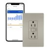 Radiant with Netatmo 15 Amp Decorator Duplex Smart Outlet, Nickel by Legrand -Legrand Sales nickel legrand electrical outlets receptacles wnrr15ni 64 1000