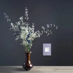 Adorne Paddle 1.6 Amp 4-Speed Fan Control, White by Legrand -Legrand Sales white legrand ceiling fan switches aafn4s16aw4 c3 1000