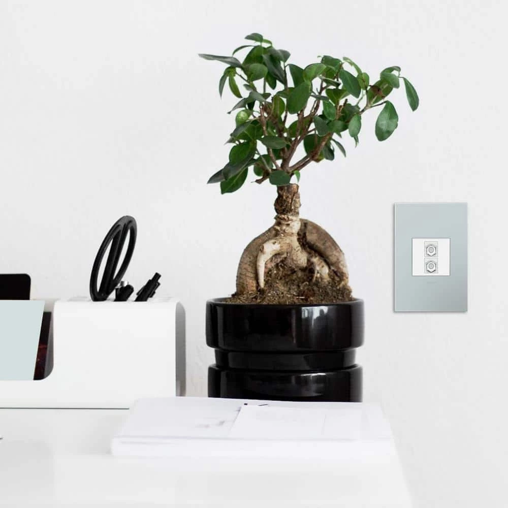 Adorne 1-Gang 2-Port Keystone Wall Plate, White (1-Pack) by Legrand 4 Adorne 1-Gang 2-Port Keystone Wall Plate, White (1-Pack) by Legrand - Image 2