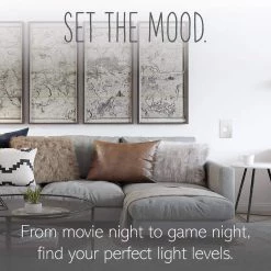 Adorne Paddle 450-Watt Single-Pole/3-Way LED/CFL/Incandescent Dimmer, White by Legrand 18 Adorne Paddle 450-Watt Single-Pole/3-Way LED/CFL/Incandescent Dimmer, White by Legrand -Legrand Sales white legrand dimmers adpd453lw2 1f 1000