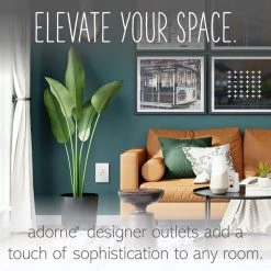 Adorne 15 Amp 125-Volt Tamper Resistant Duplex Outlet, White by Legrand 17 Adorne 15 Amp 125-Volt Tamper Resistant Duplex Outlet, White by Legrand -Legrand Sales white legrand electrical outlets receptacles artr152w4 1f 1000