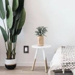 Adorne 15 Amp 125-Volt Tamper Resistant Duplex Outlet, White by Legrand 14 Adorne 15 Amp 125-Volt Tamper Resistant Duplex Outlet, White by Legrand -Legrand Sales white legrand electrical outlets receptacles artr152w4 66 1000