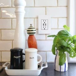 Adorne 15 Amp 125-Volt Dual USB Plus-Size Duplex Outlet with Wall Plate, White by Legrand -Legrand Sales white legrand electrical outlets receptacles artrusb153w4wp 66 1000