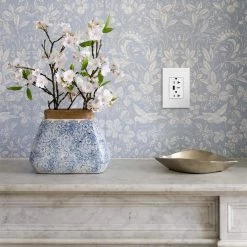 Adorne 20 Amp 120-Volt Duplex Outlet with 6.0 Amp Type A/C USB, White by Legrand 15 Adorne 20 Amp 120-Volt Duplex Outlet with 6.0 Amp Type A/C USB, White by Legrand -Legrand Sales white legrand electrical outlets receptacles artrusb206acw4 66 1000