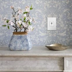 Adorne 6.0 Amp Ultra-Fast USB Type A/C Duplex Outlet, White by Legrand 14 Adorne 6.0 Amp Ultra-Fast USB Type A/C Duplex Outlet, White by Legrand -Legrand Sales white legrand electrical outlets receptacles arusb2ac6w4 66 1000