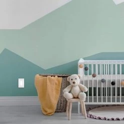 Radiant 15 Amp 125-Volt Full Night Light Decorator Faceless Outlet with Wall Plate, White by Legrand -Legrand Sales white legrand electrical outlets receptacles ntlfullwpw 66 1000