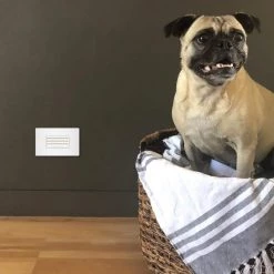 Radiant 125-Volt Horizontal Step Night Light Decorator Duplex Outlet, White by Legrand -Legrand Sales white legrand electrical outlets receptacles ntlhorzwcc6 66 1000