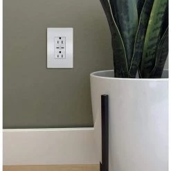 Radiant 15 Amp 125-Volt Decorator Duplex Outlet with 6.0 Amp Type C/C USB, White by Legrand -Legrand Sales white legrand electrical outlets receptacles r26usbcc6wccv6 66 1000