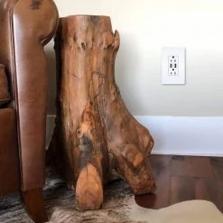 Radiant 15 Amp 125-Volt Duplex Outlet with 3.1 Amp USB with Wall Plate, White by Legrand -Legrand Sales white legrand electrical outlets receptacles tm826usbwpwccv4 1d 1000