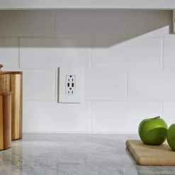 Radiant 15 Amp 125-Volt Duplex Outlet with 3.1 Amp USB with Wall Plate, White by Legrand -Legrand Sales white legrand electrical outlets receptacles tm826usbwpwccv4 66 1000