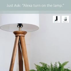 Radiant Smart 15 Amp 125-Volt Tamper Resistant Wi-Fi Decorator Duplex Smart Outlet, White by Legrand -Legrand Sales white legrand electrical outlets receptacles wwrr15whccv2 1f 1000